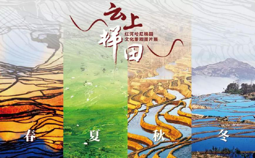 图片8